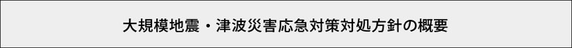 大規模地震・津波災害応急対策対処方針の概要